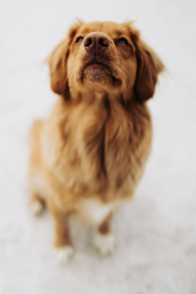 1433-daily-bible-verse