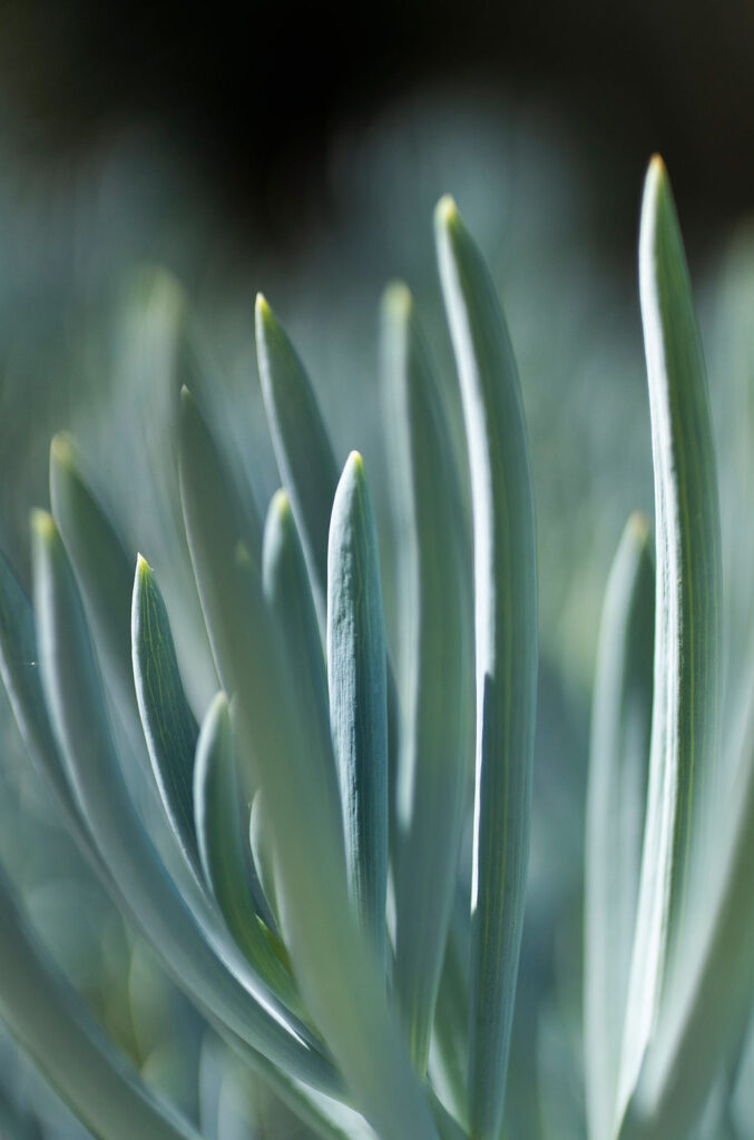 1435-daily-bible-verse