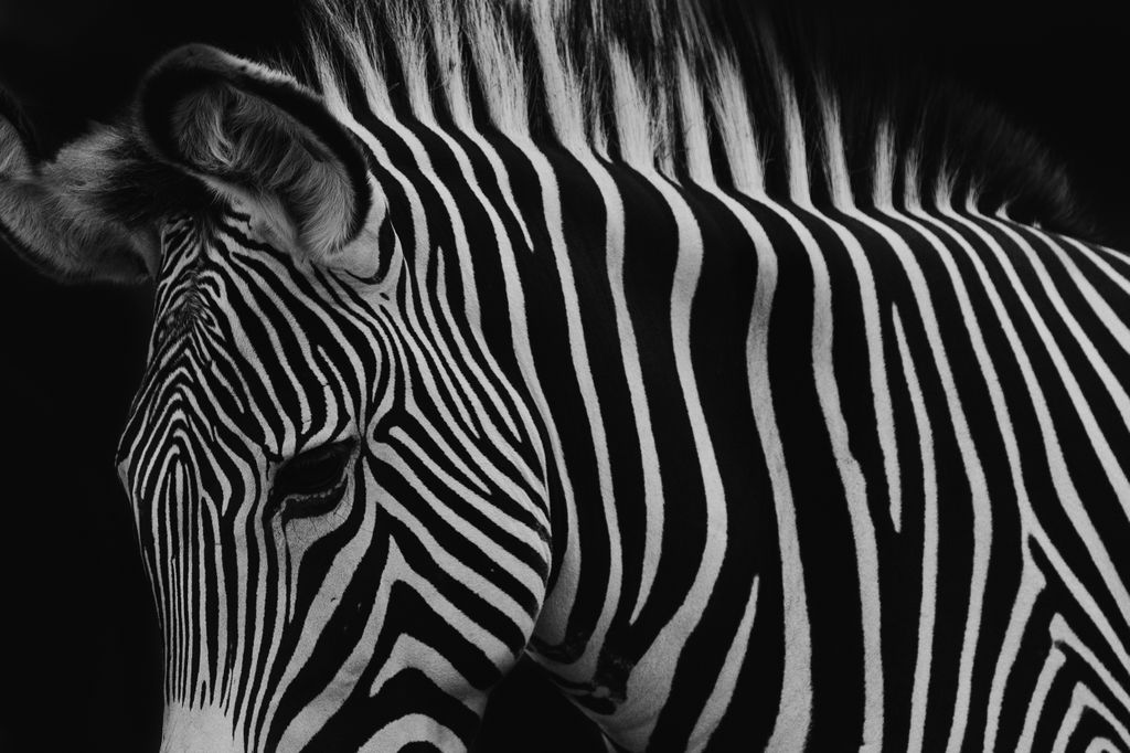 1437-daily-bible-verse