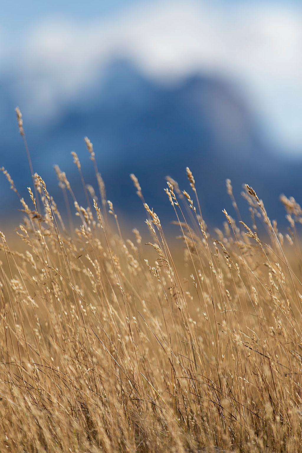 1438-daily-bible-verse