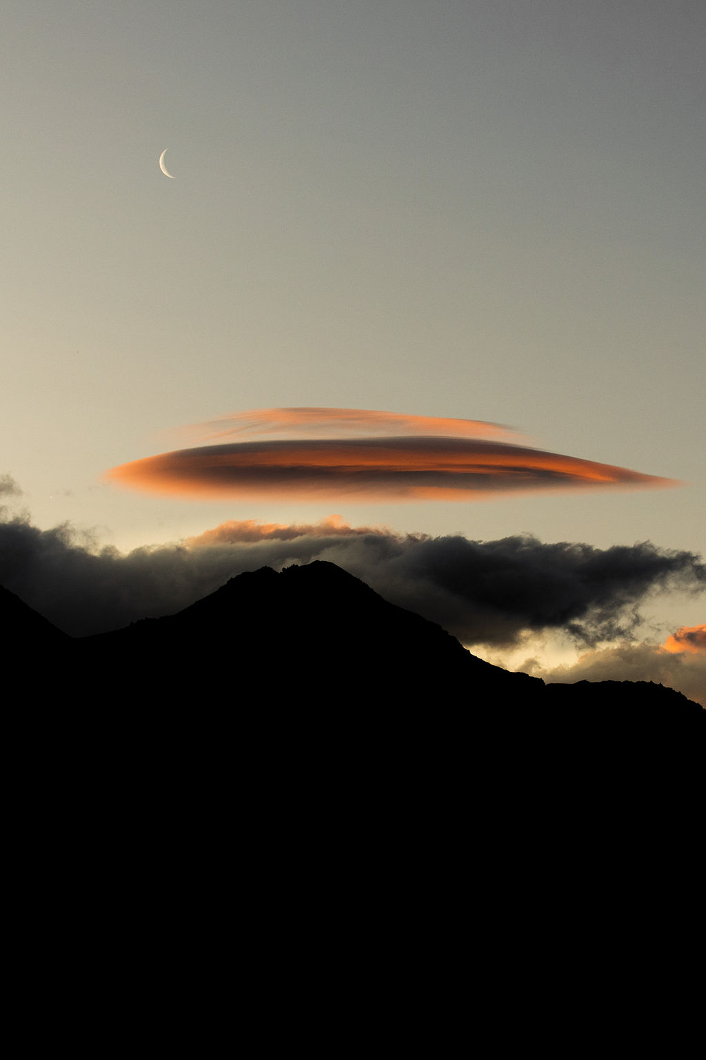 1439-daily-bible-verse