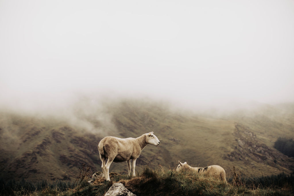 1440-daily-bible-verse