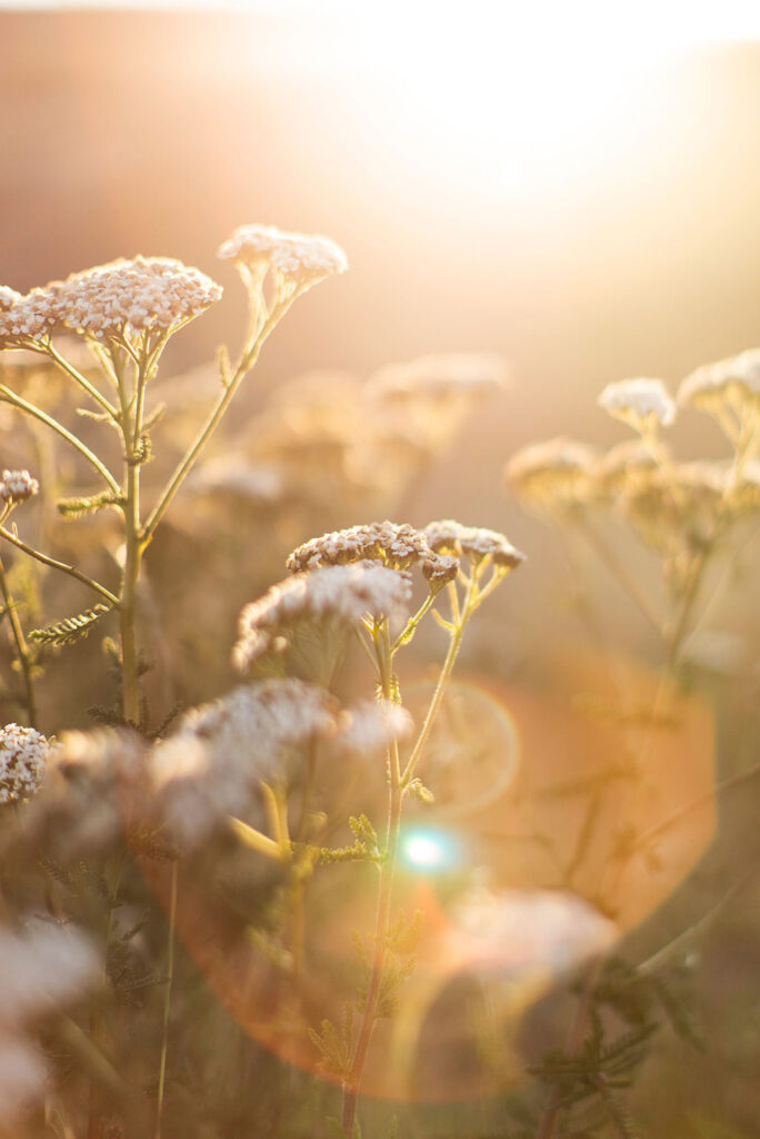 1441-daily-bible-verse