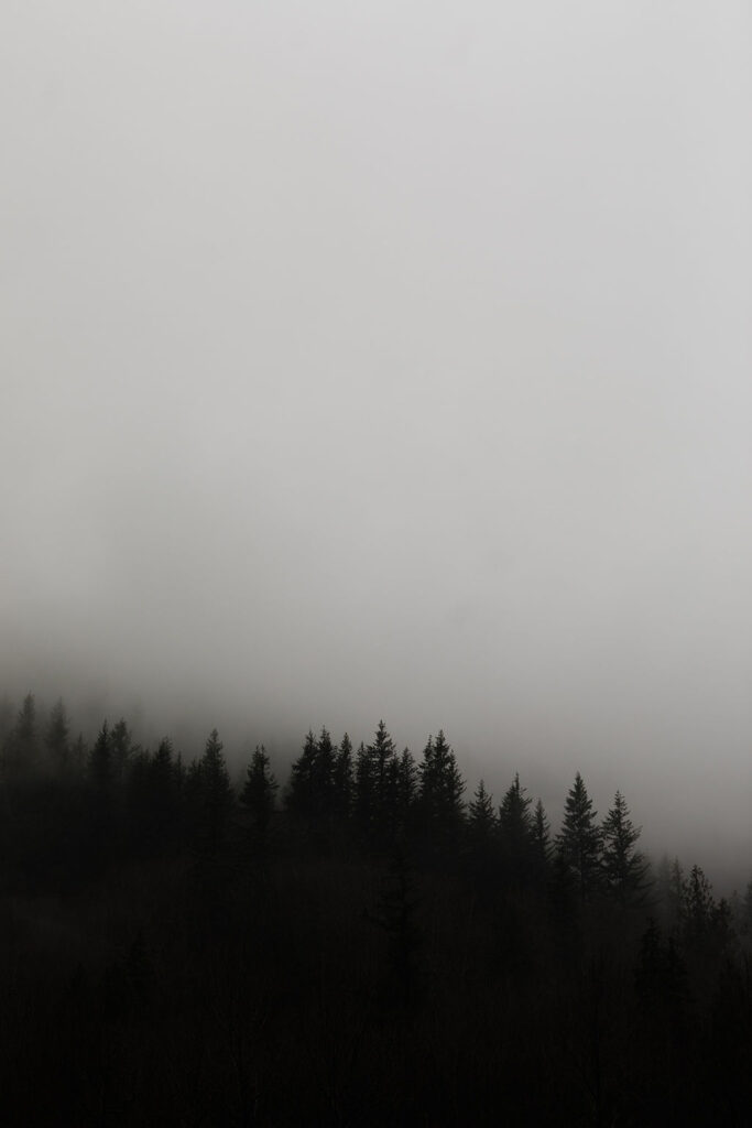 1442-daily-bible-verse