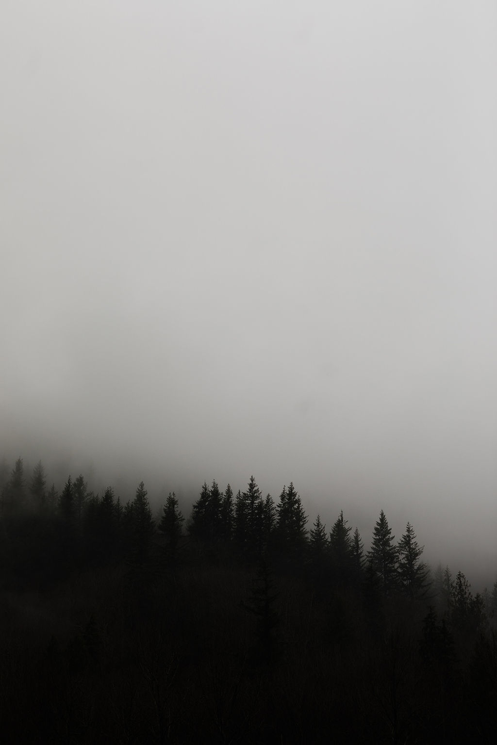 1442-daily-bible-verse