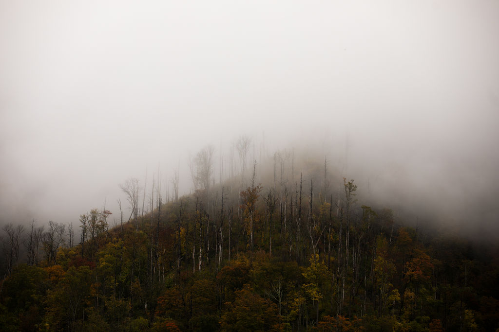 1443-daily-bible-verse