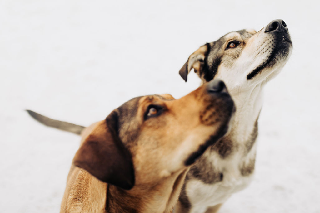 1444-daily-bible-verse