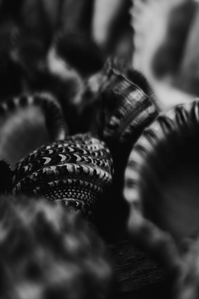 1445-daily-bible-verse