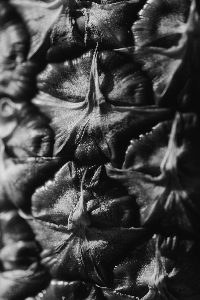 1446-daily-bible-verse