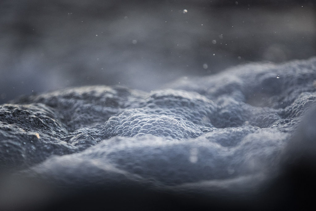 1448-daily-bible-verse