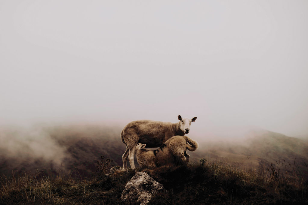 1449-daily-bible-verse