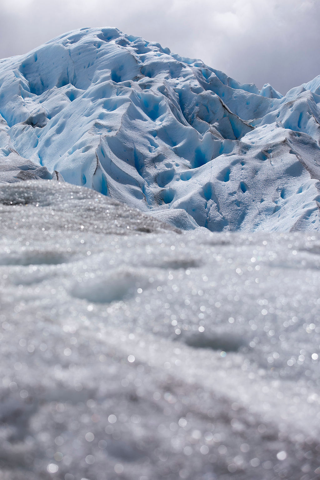 1450-daily-bible-verse