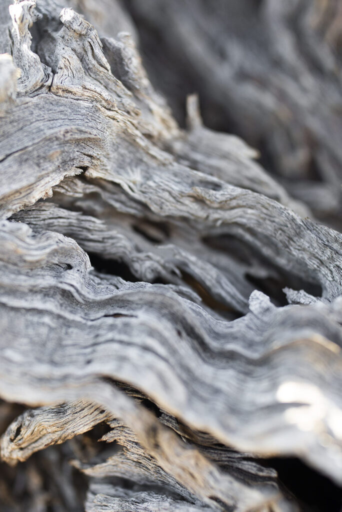 1451-daily-bible-verse