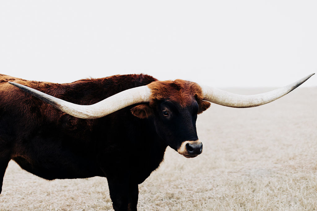 1452-daily-bible-verse