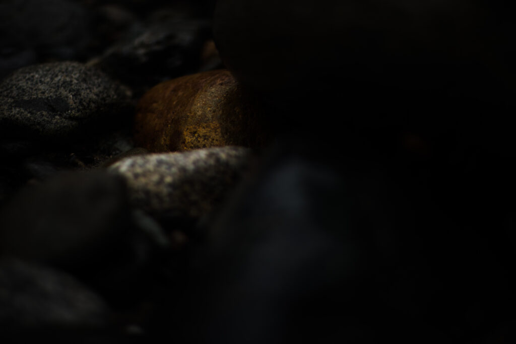 1453-daily-bible-verse