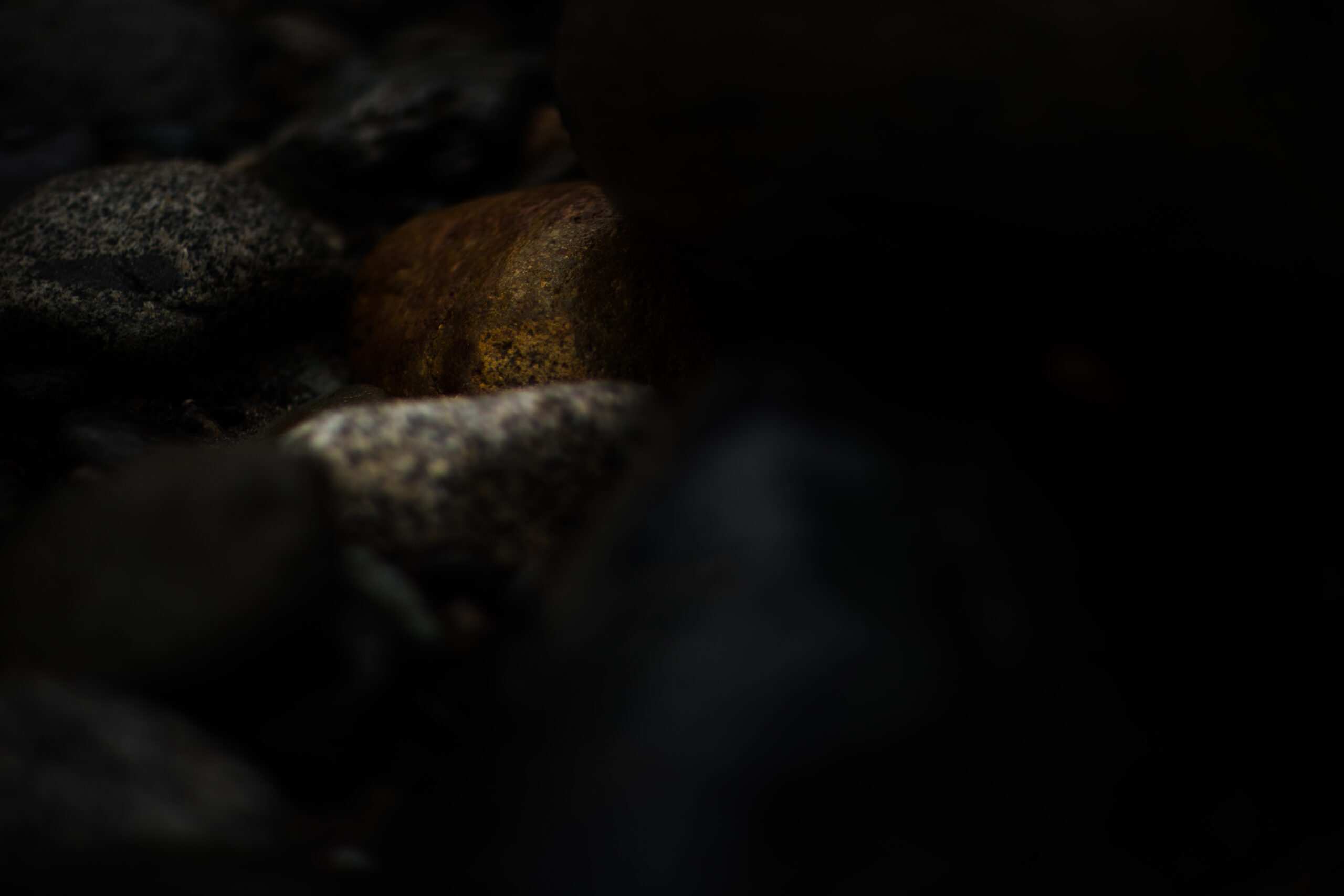 1453-daily-bible-verse