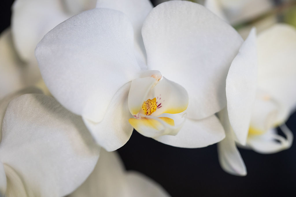 1456-daily-bible-verse