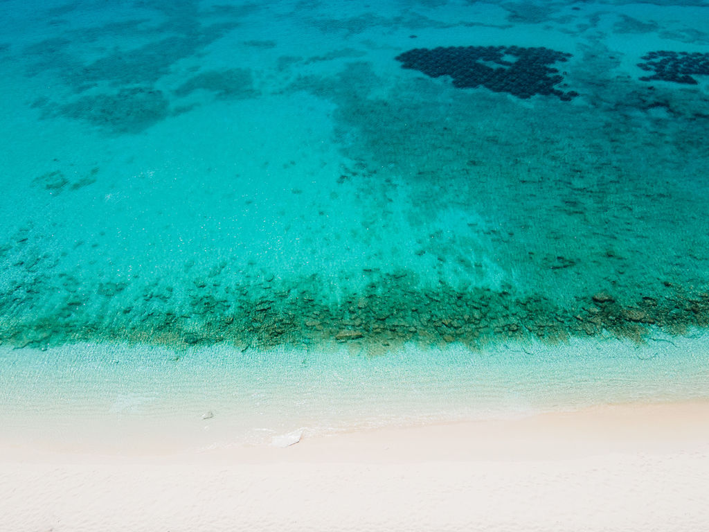 1458-daily-bible-verse