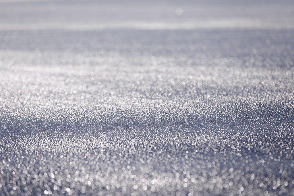 1459-daily-bible-verse