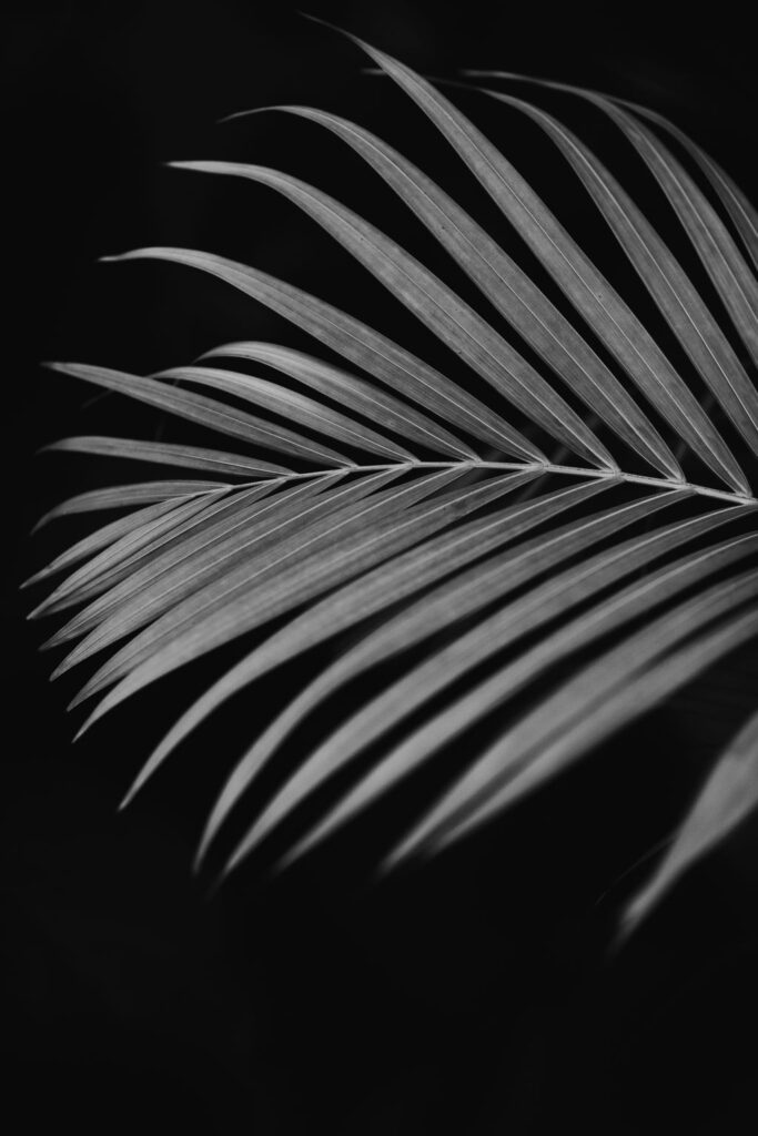 1460-daily-bible-verse