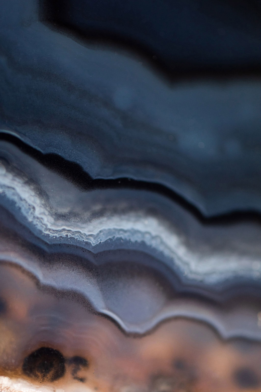 1465-daily-bible-verse