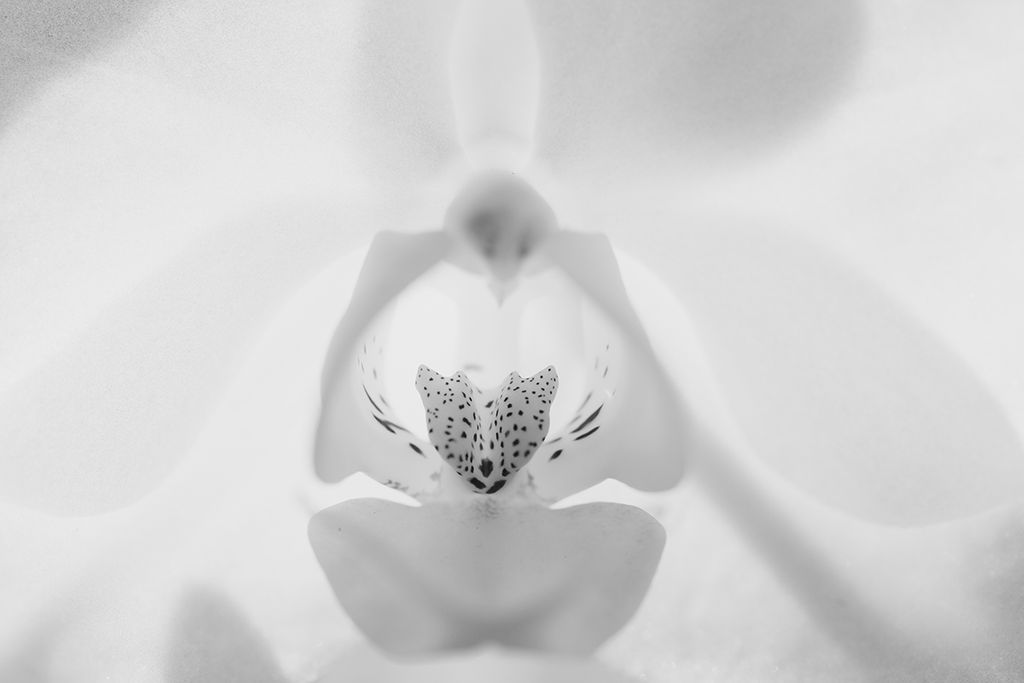 1467-daily-bible-verse