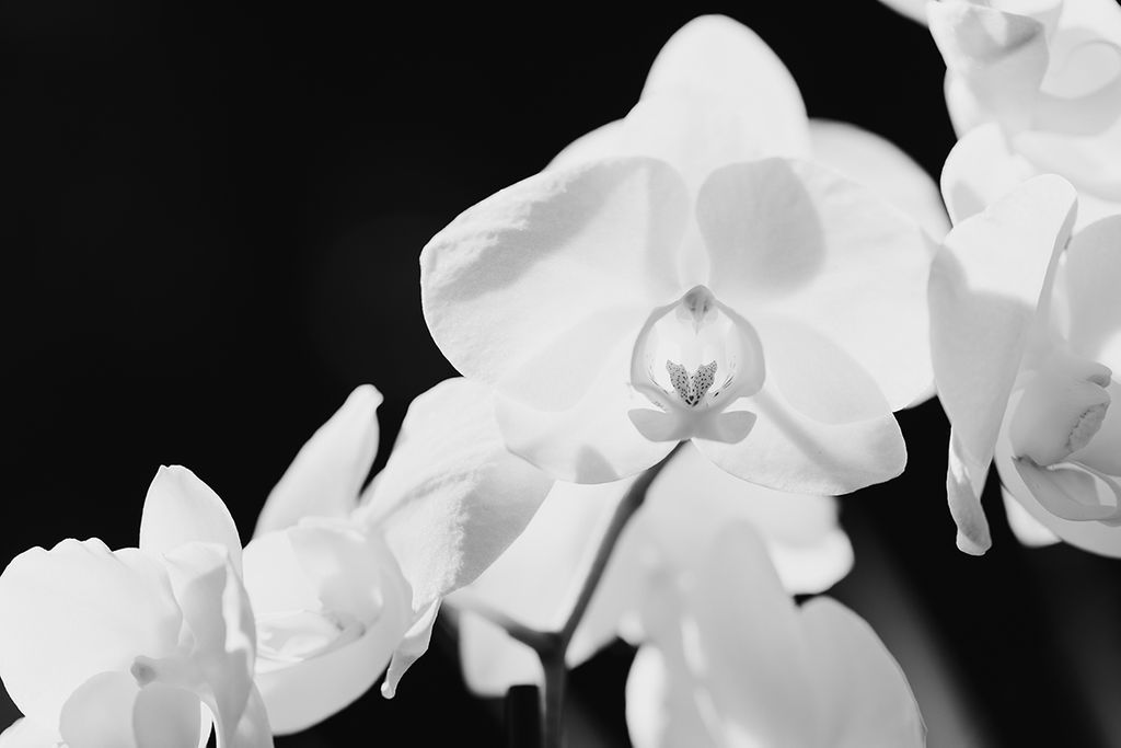 1471-daily-bible-verse