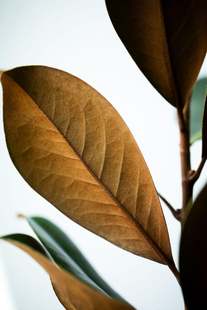 1472-daily-bible-verse