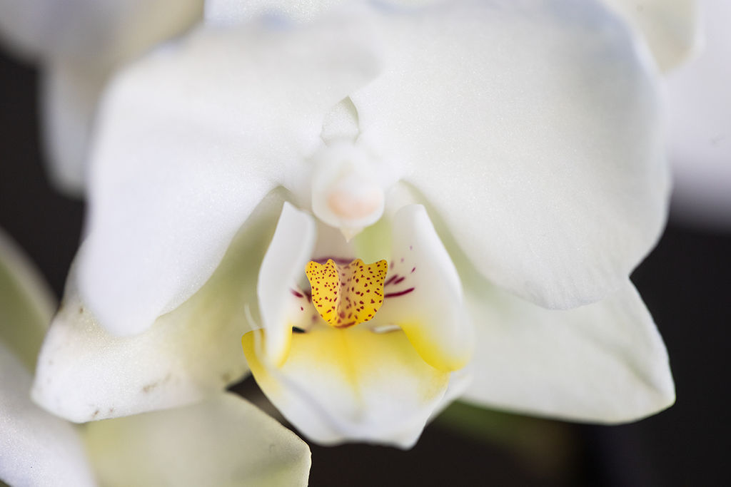 1482-daily-bible-verse