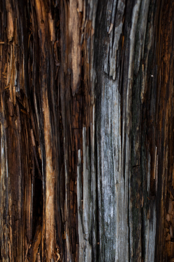 1484-daily-bible-verse