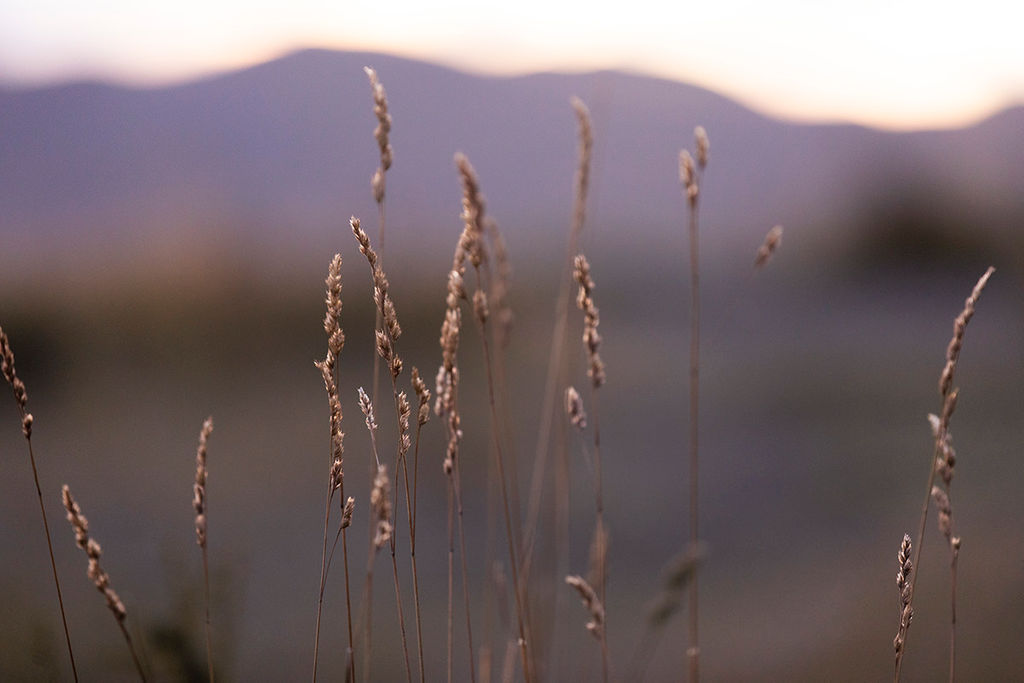 1485-daily-bible-verse