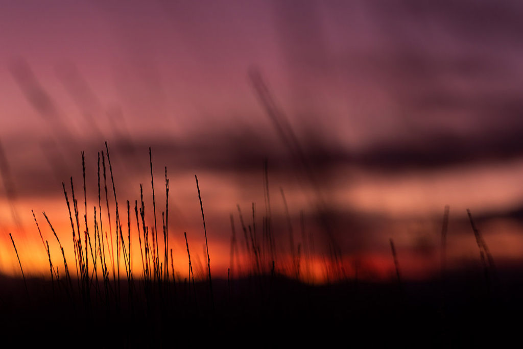 1486-daily-bible-verse