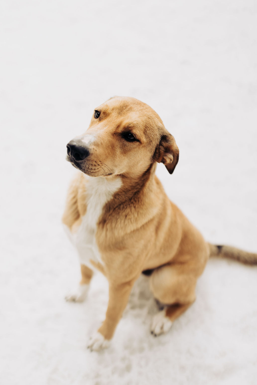 1487-daily-bible-verse