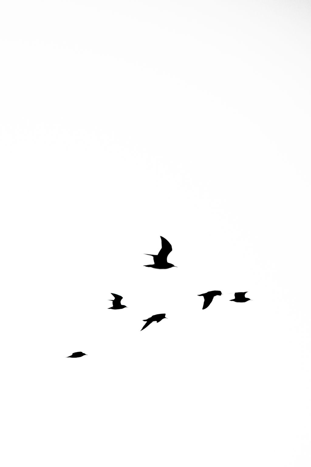 1490-daily-bible-verse