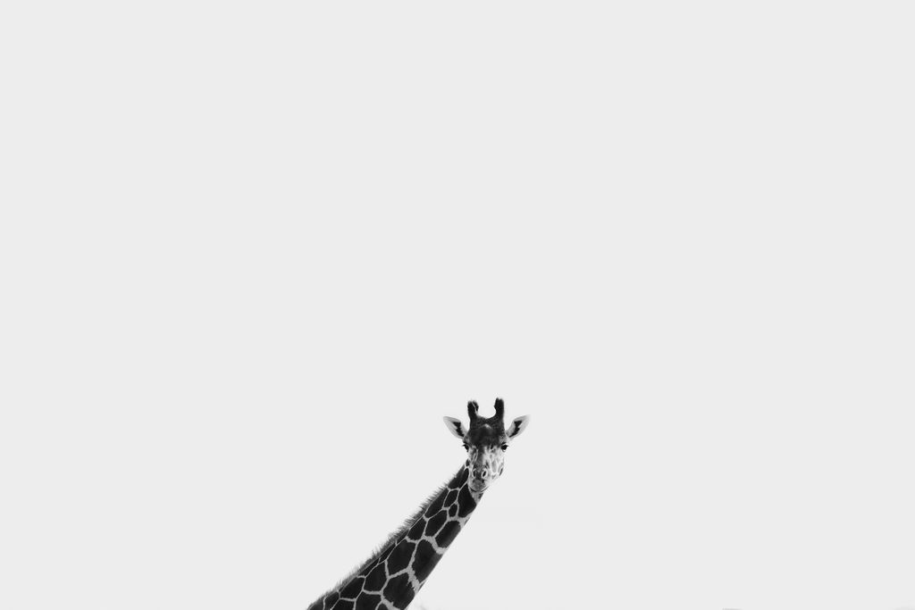 1491-daily-bible-verse