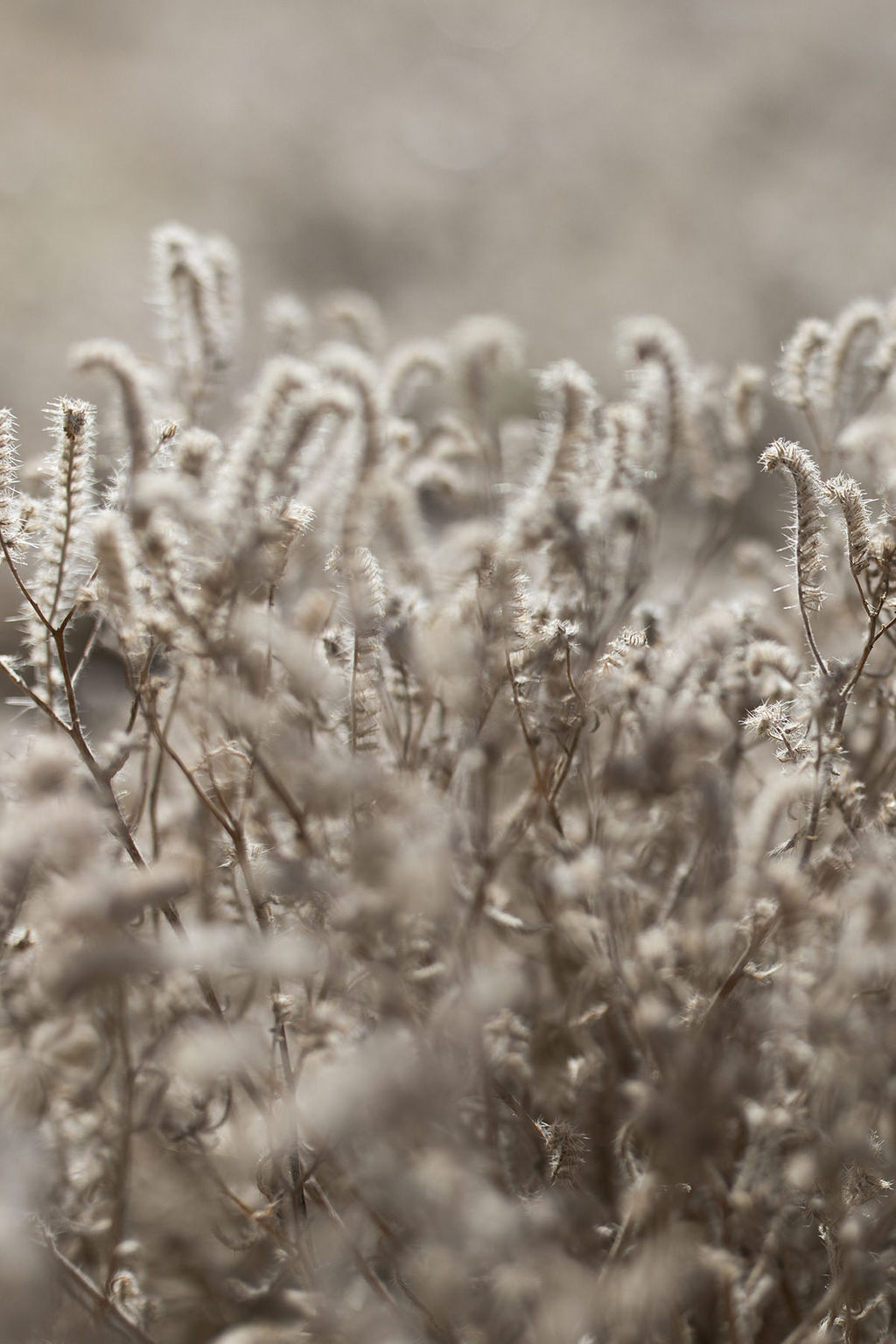 1493-daily-bible-verse