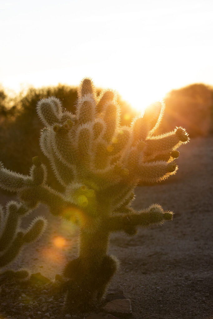 1495-daily-bible-verse