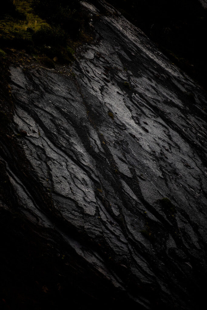 1497-daily-bible-verse