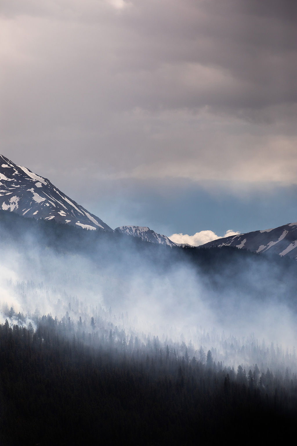 1499-daily-bible-verse