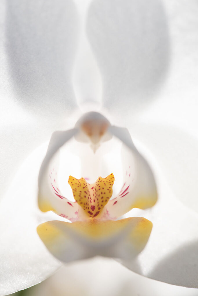 1501-daily-bible-verse