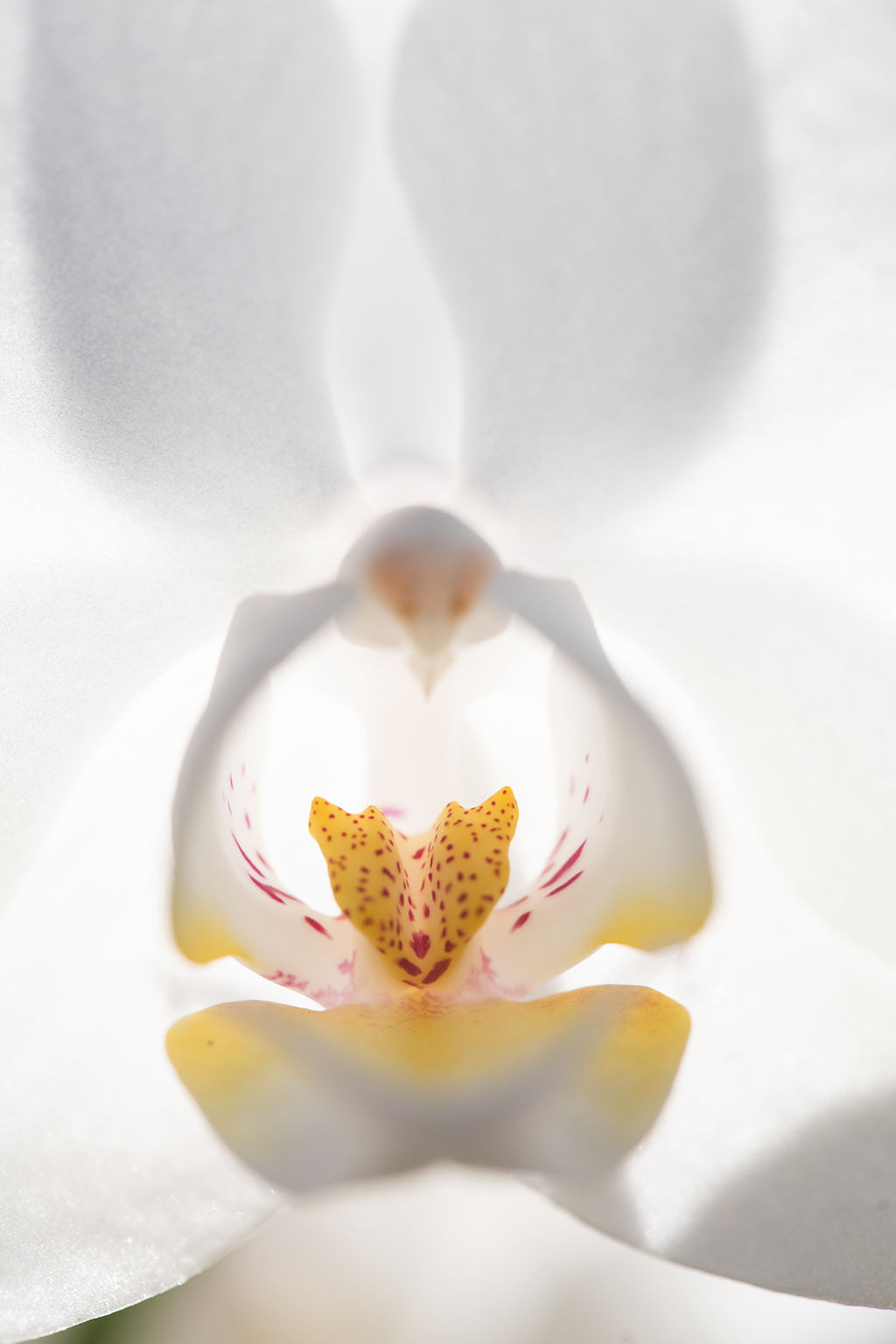 1501-daily-bible-verse