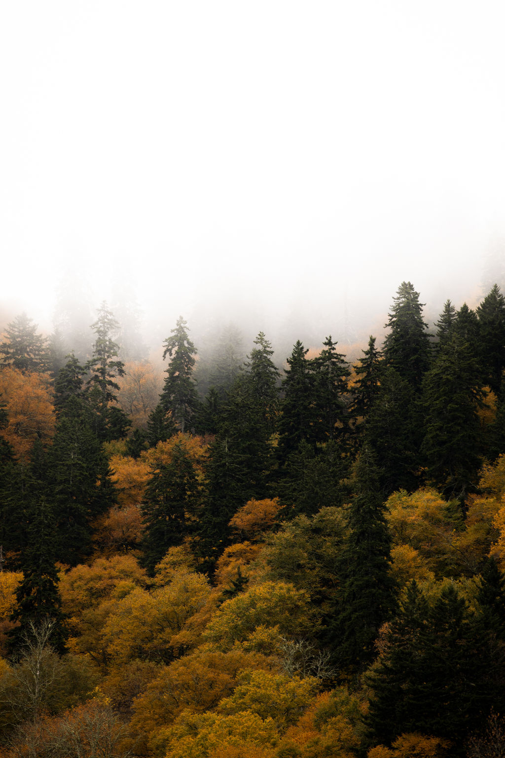 1502-daily-bible-verse