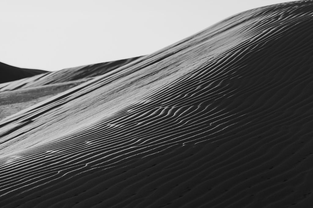 1503-daily-bible-verse