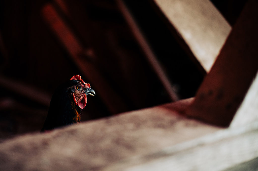 1504-daily-bible-verse