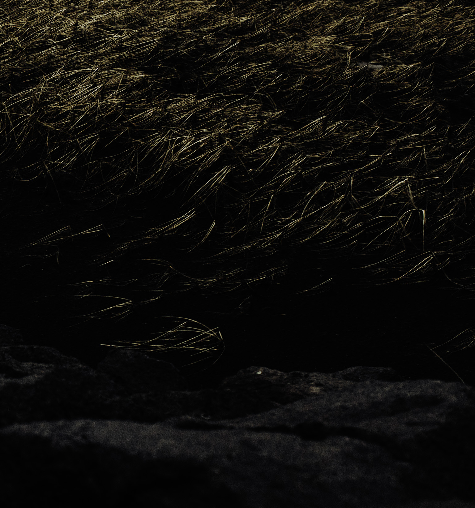 1506-daily-bible-verse