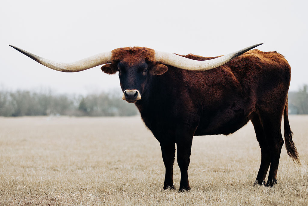 1507-daily-bible-verse