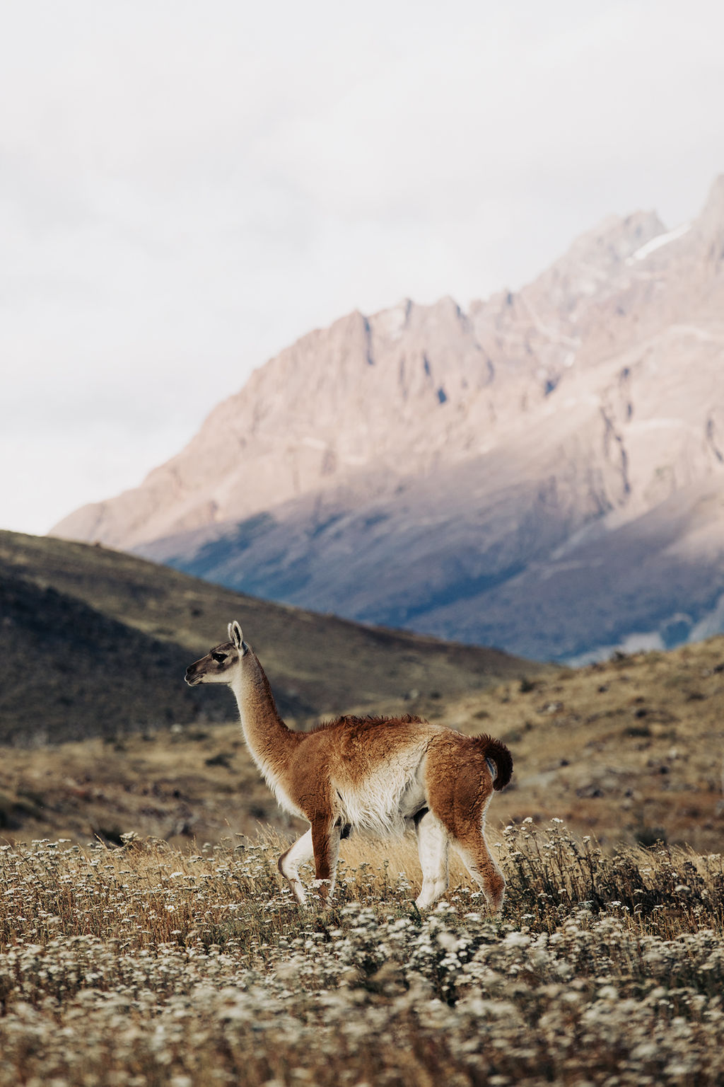 1510-daily-bible-verse