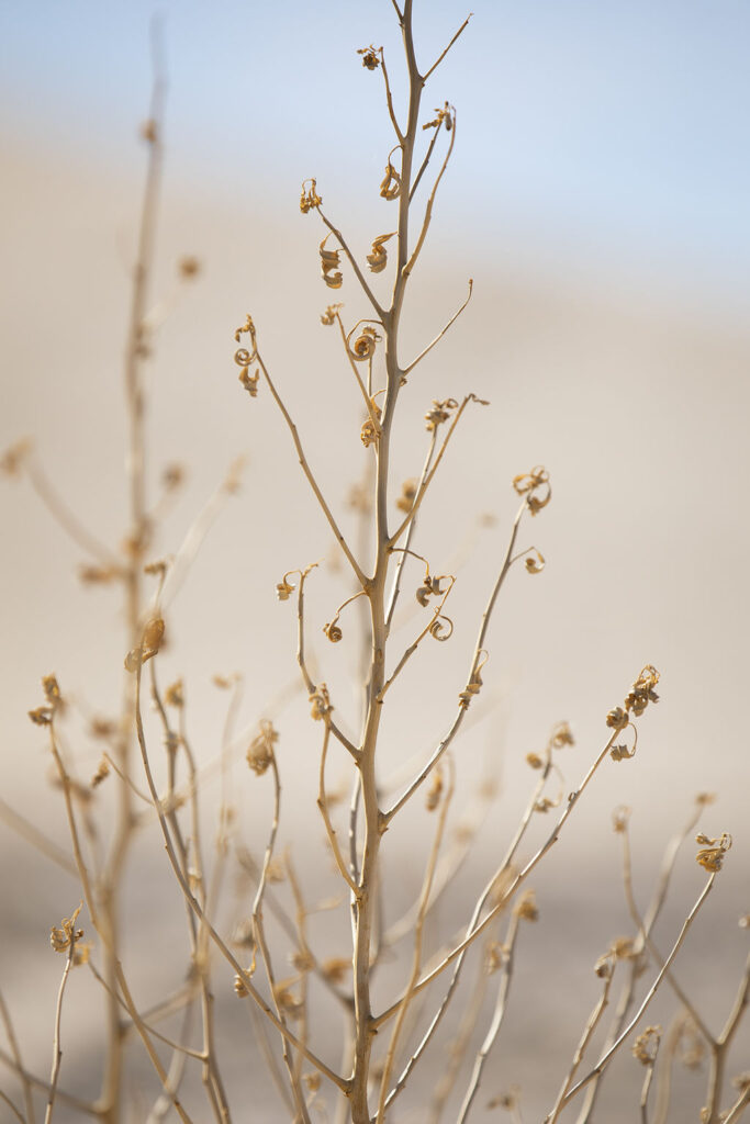 1511-daily-bible-verse