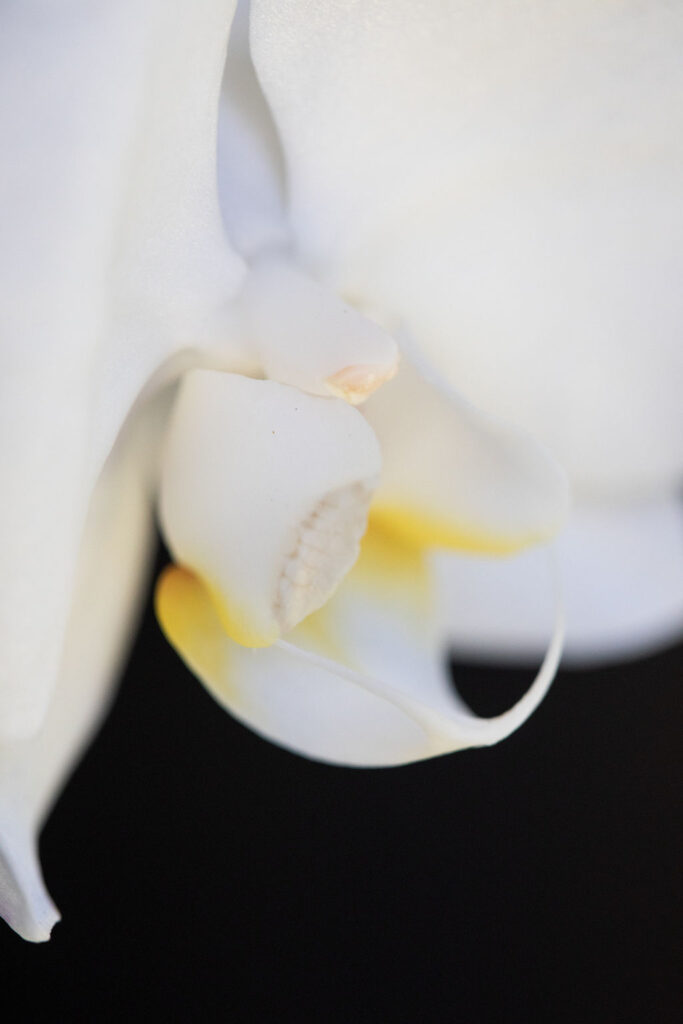 1512-daily-bible-verse