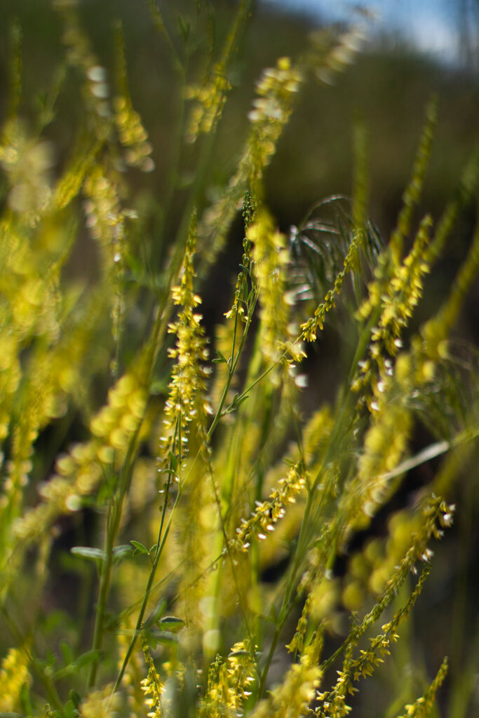 1514-daily-bible-verse